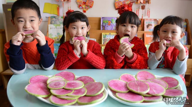 石家庄淘宝贝南海幼儿园的小朋友吃生萝卜“咬春”