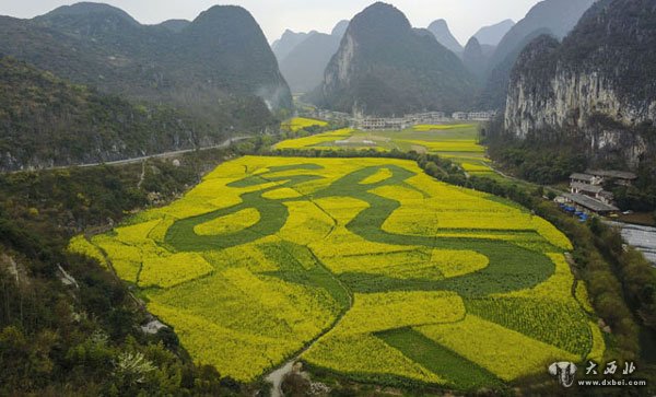 林芝春意浓