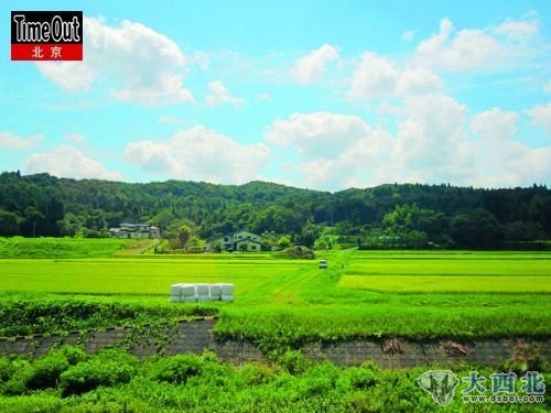 原野