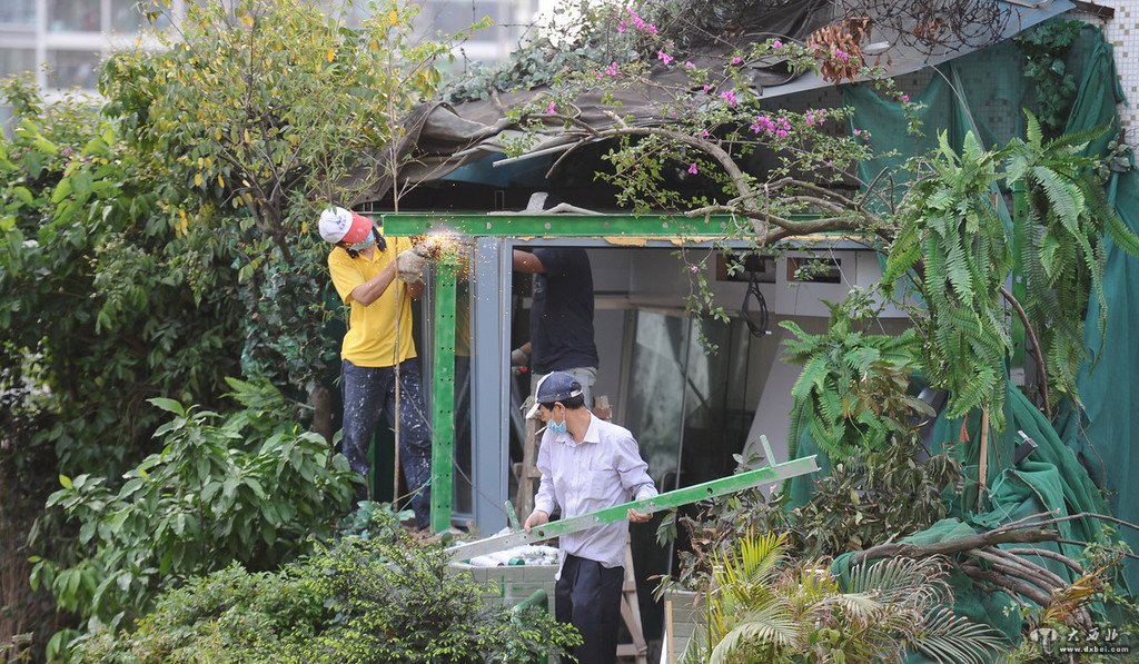 广州“绿帽”违建露真容 顶层本尊玻璃房开拆