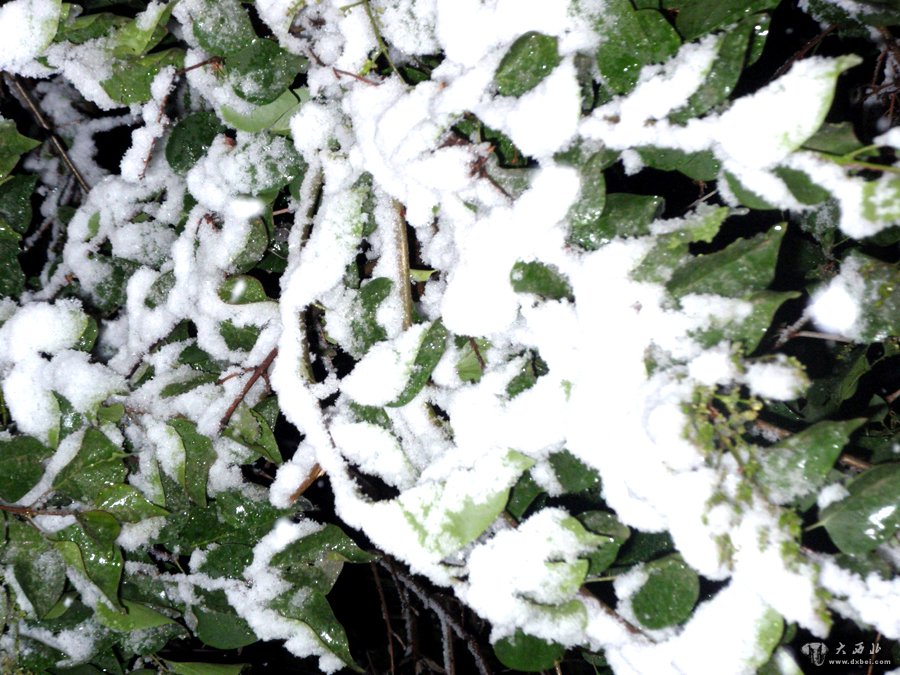 兰州昨夜迎去冬以来最大降雪