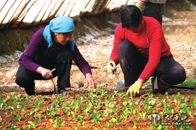 窑街煤都变绿城