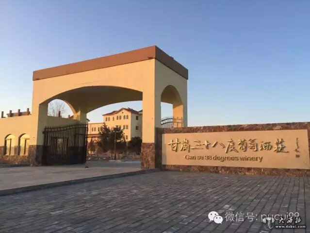 三十八度葡萄酒庄喜摘国际大奖 河西走廊产区风光初现