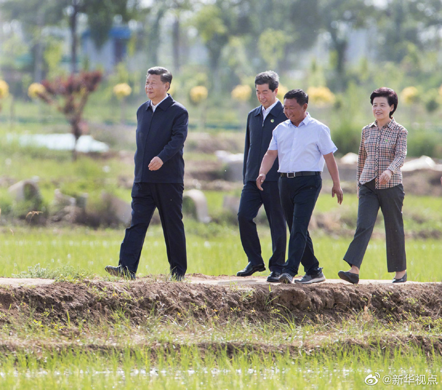 习近平在银川考察调研