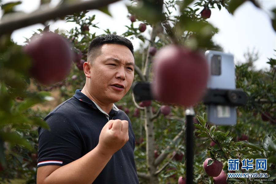 绿了梯田富了村民——